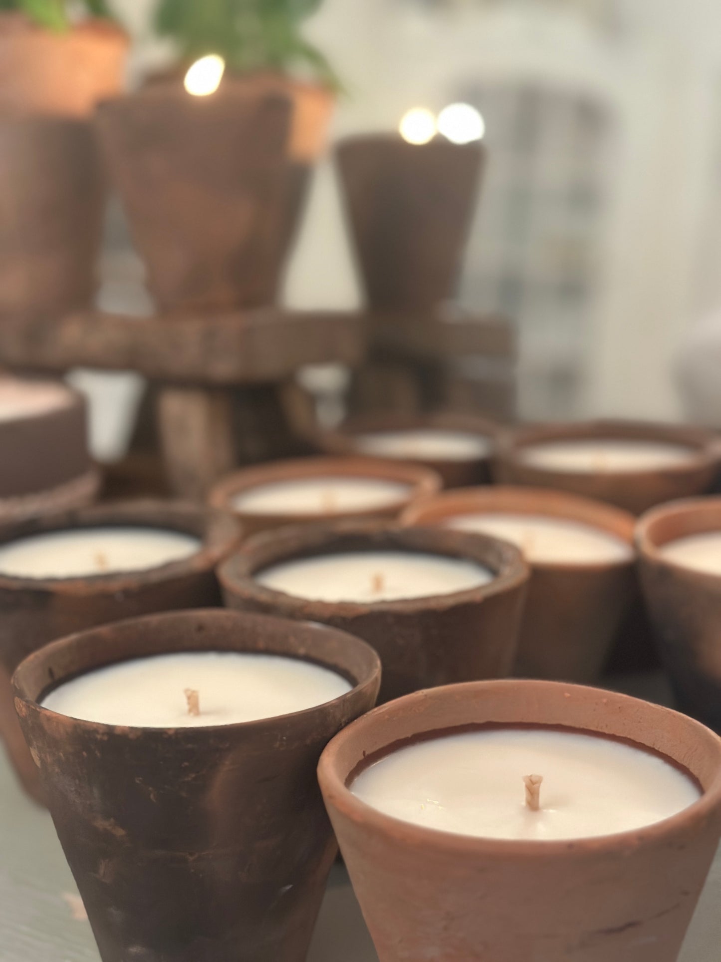 PRE ORDER TERRACOTTA POTS