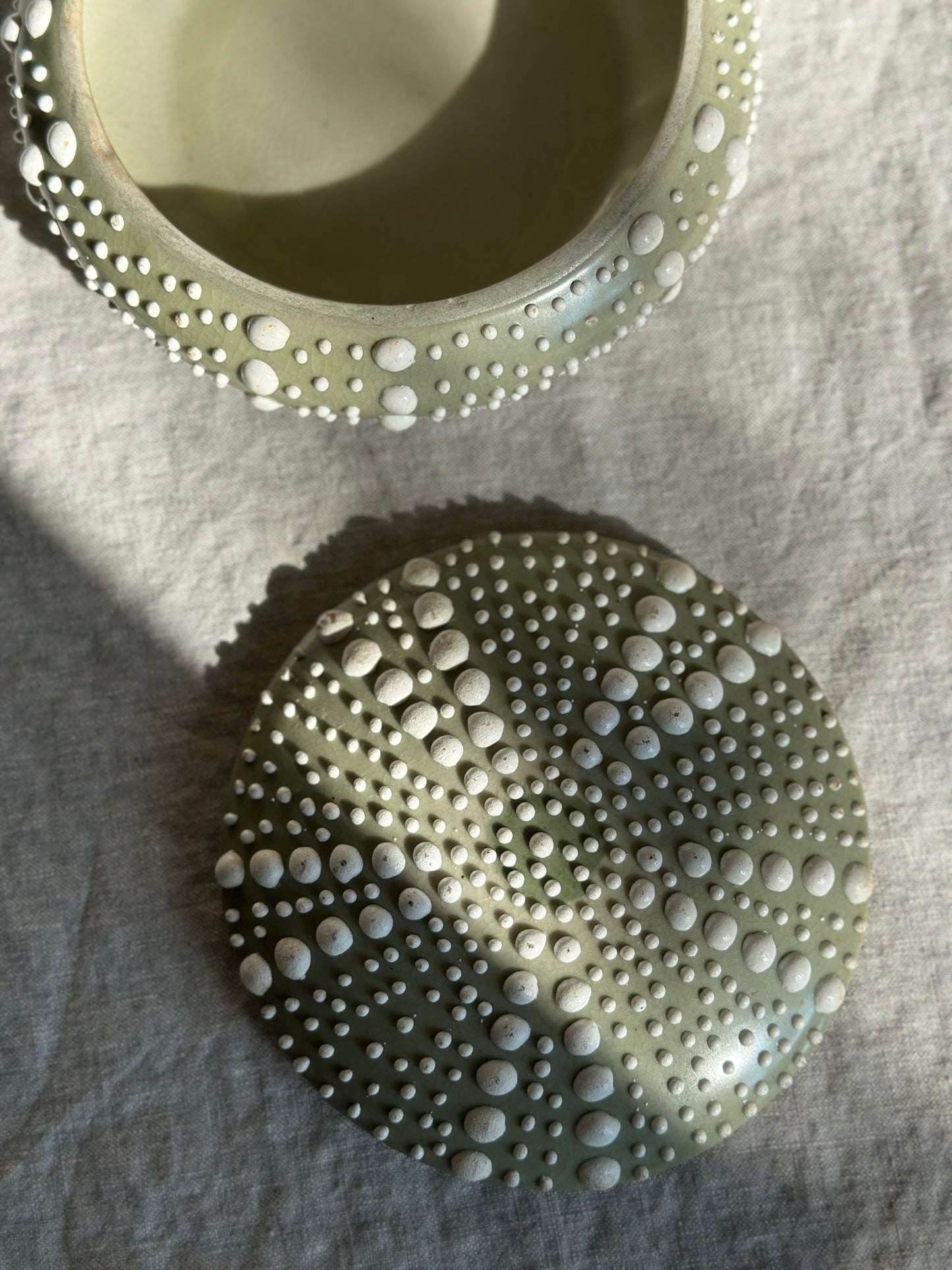 16 oz Ceramic Sea Urchin Lidded Dish