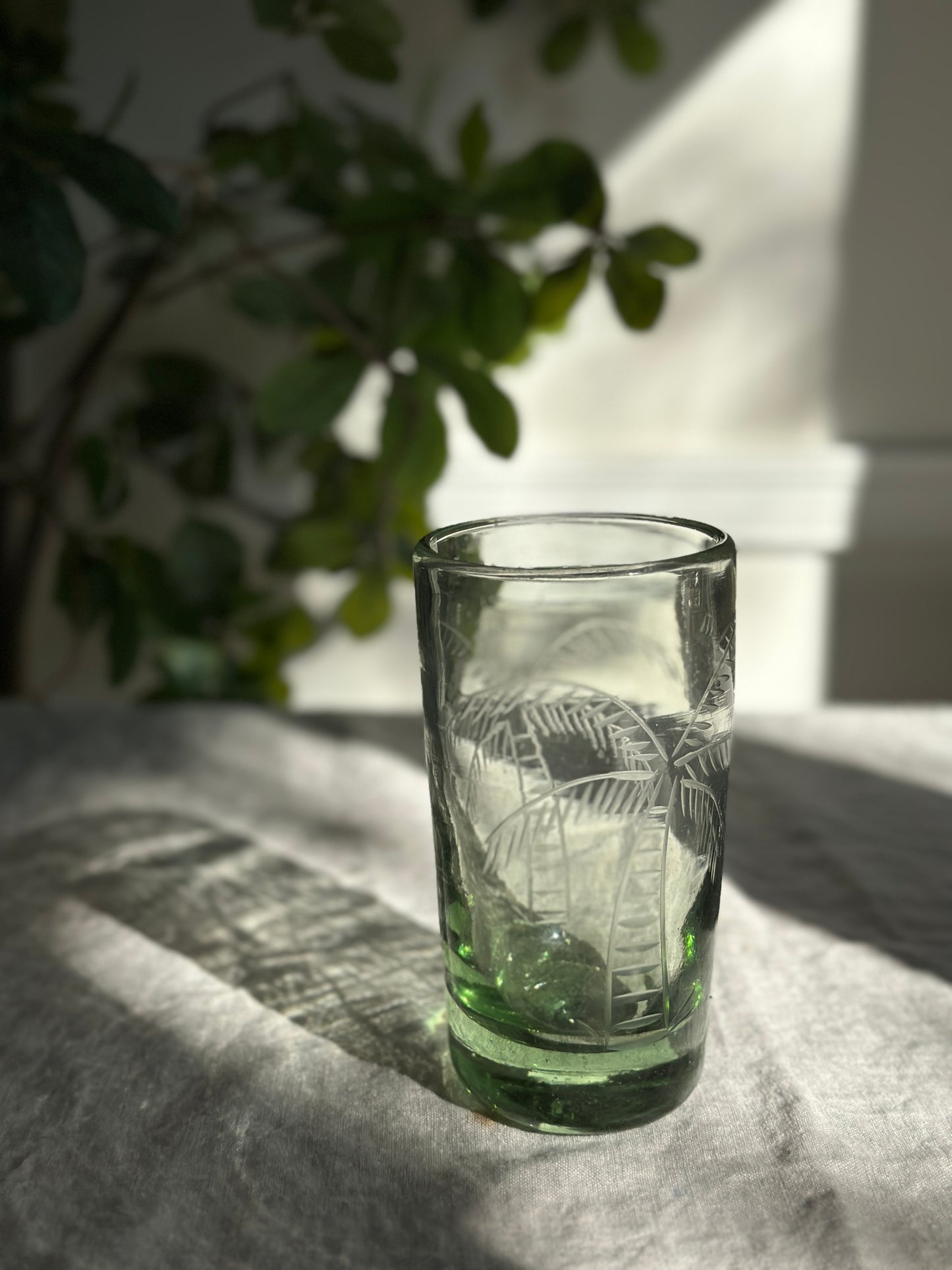 18 oz Handblown Art Glass Etched Palm Trees