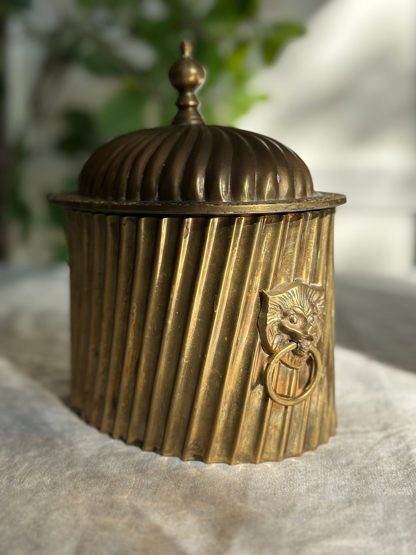 42 oz Fluted Brass Hinged Tea Caddy