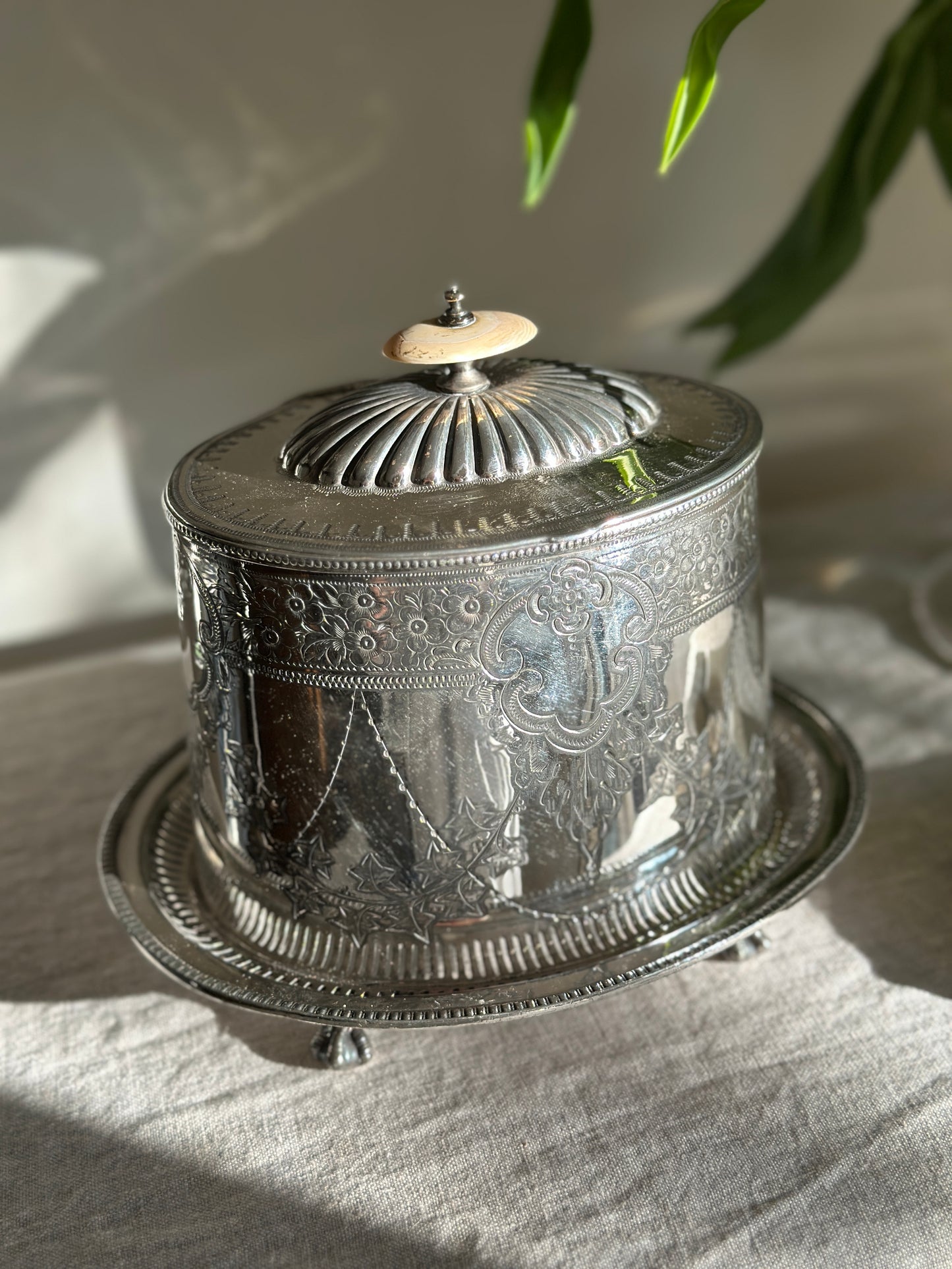 Hinged Etched Silver Plate Tea Caddy w/ Bone Finial (36 oz)
