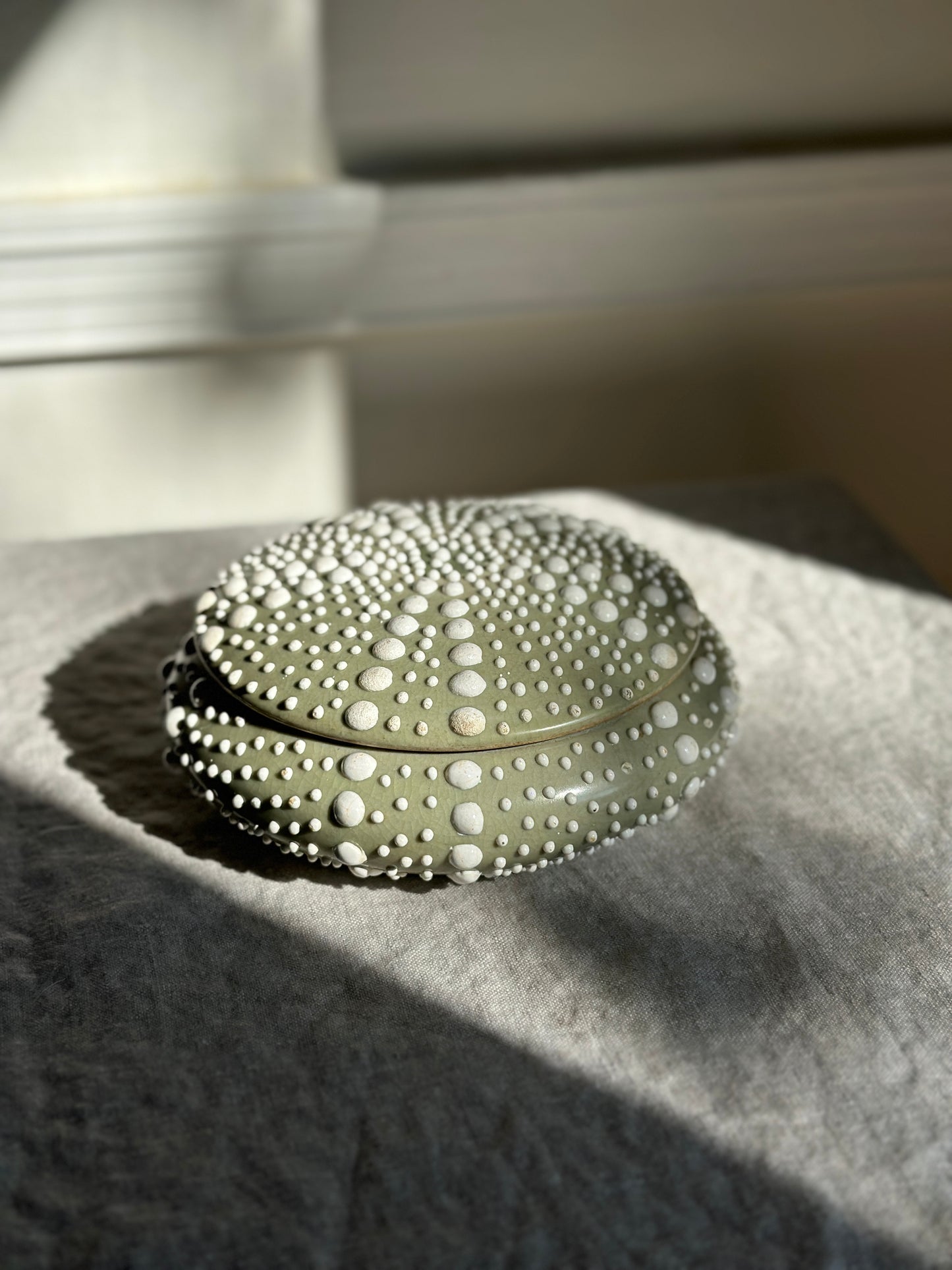 16 oz Ceramic Sea Urchin Lidded Dish