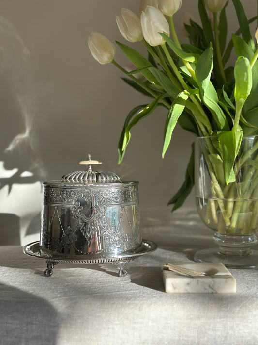 Hinged Etched Silver Plate Tea Caddy w/ Bone Finial (36 oz)