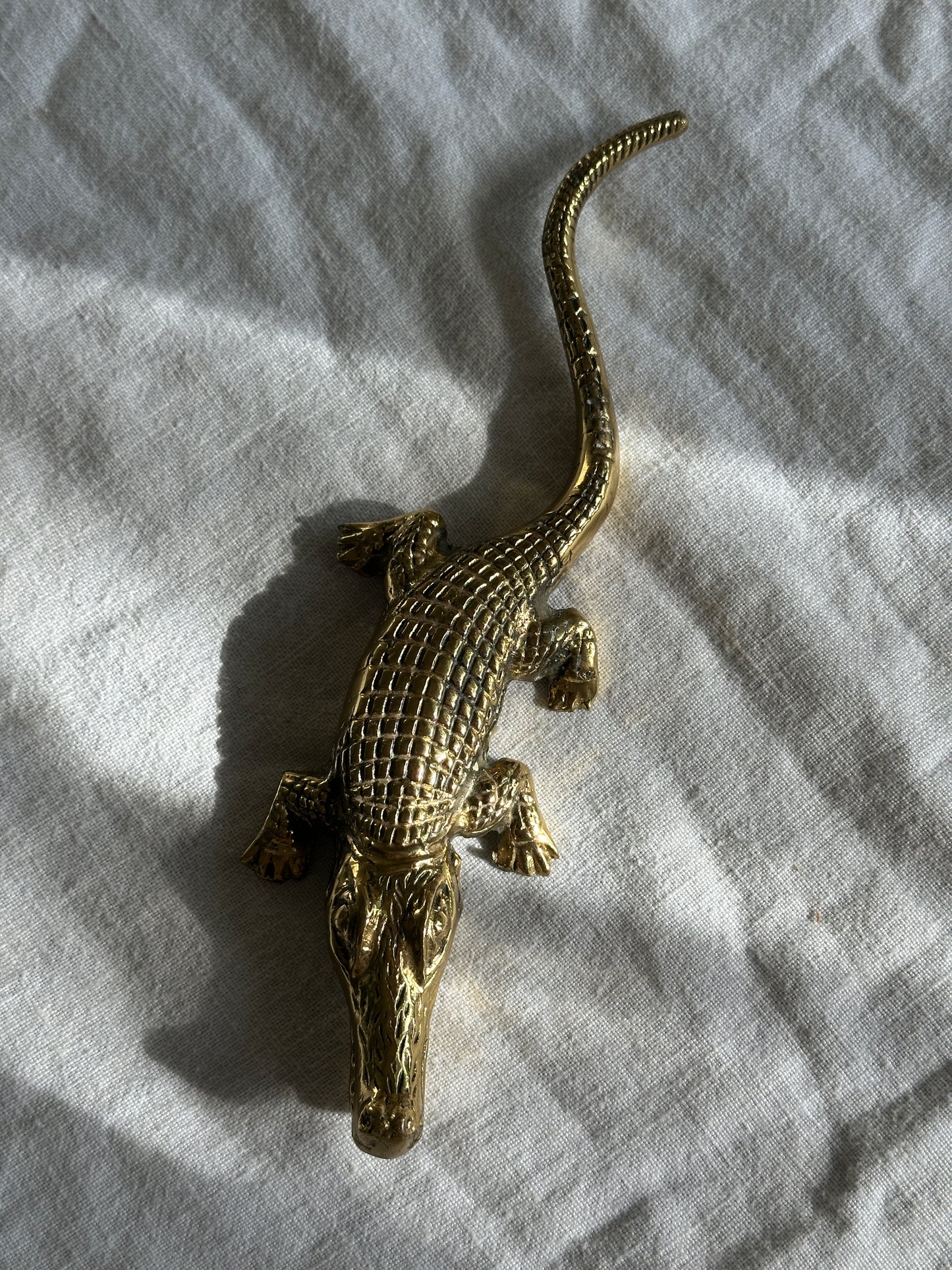 Brass Alligator