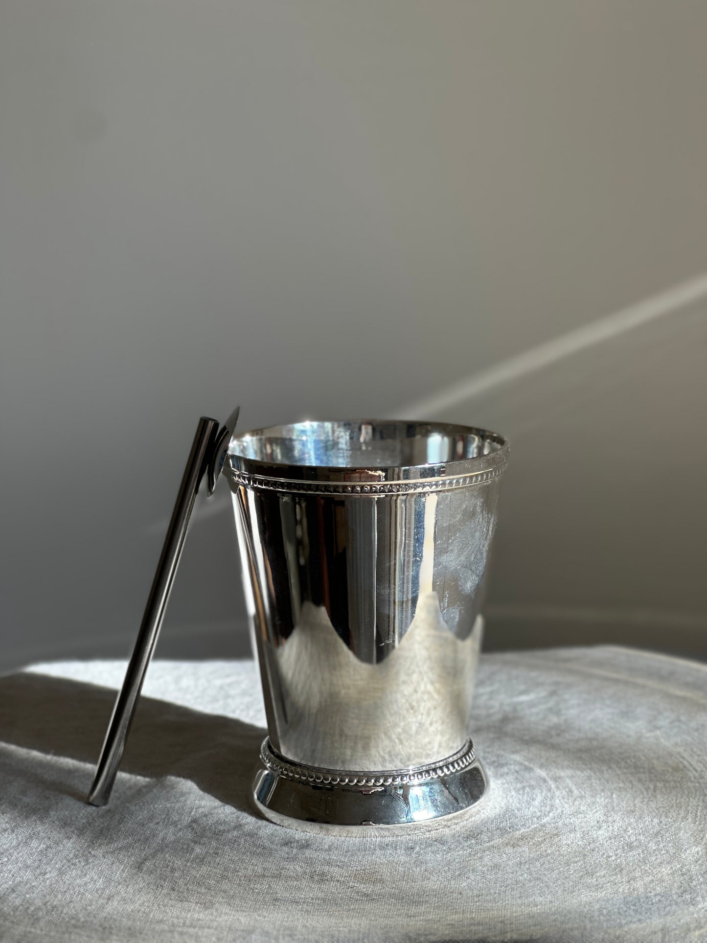 Stainless Steel Mint Julep Cups SET w/ Spoons
