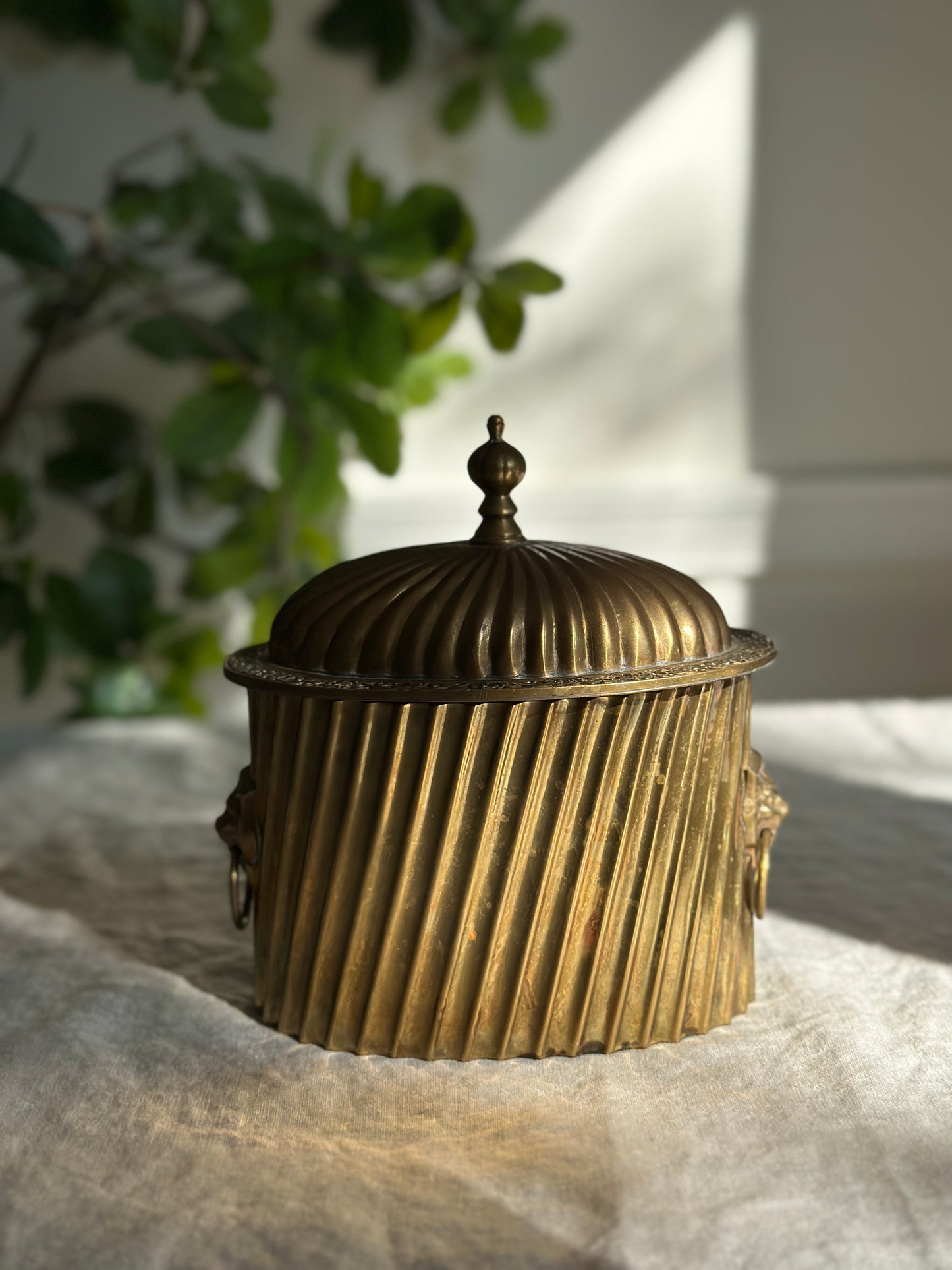 42 oz Fluted Brass Hinged Tea Caddy