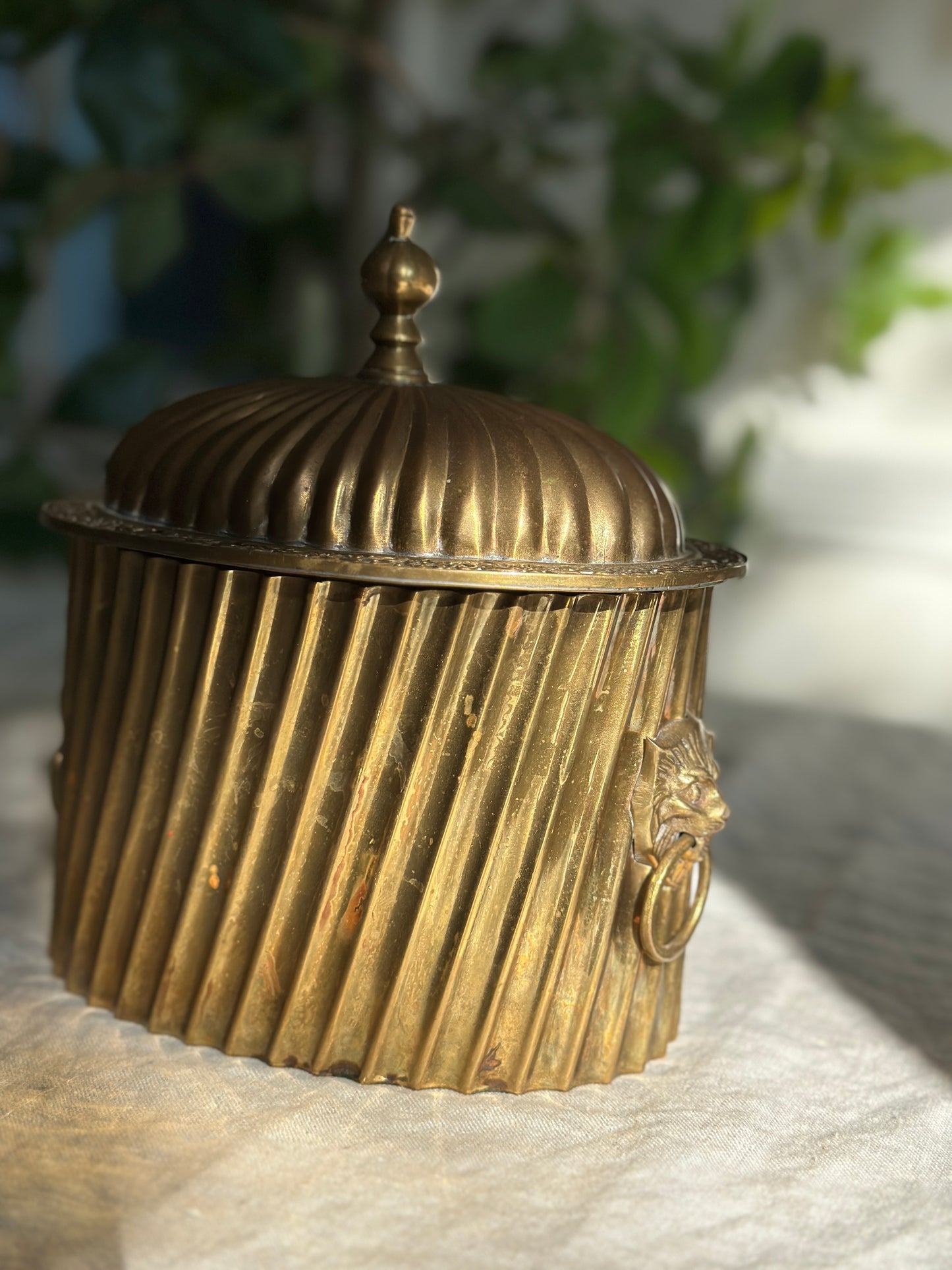 42 oz Fluted Brass Hinged Tea Caddy